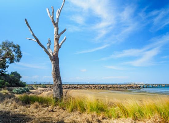 australia/mornington-peninsula/attraction/woolley-s-beach-reserve