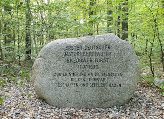germany/brandenburg/attraction/bredower-forst