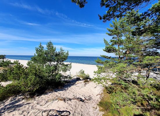 poland/hel-peninsula/attraction/latarnia-morska-gora-szwedow