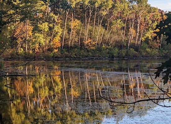 wisconsin/glacial-lake-wisconsin/attraction/rice-lake-nature-trail