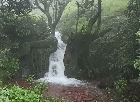 india/mahabaleshwar/attraction/mettale-new-waterfall