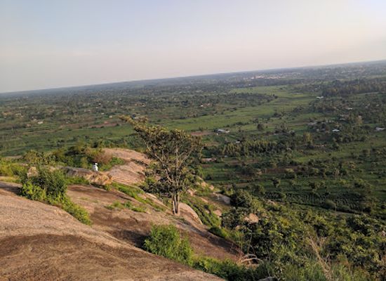 uganda/lira/attraction/got-ngetta