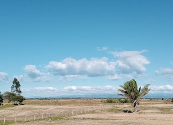 bolivia/amboro-national-park/attraction/.