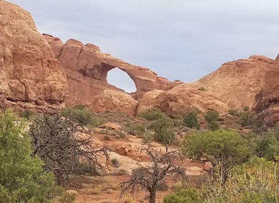 utah/arches-national-park/attraction/red-rock-wonderland