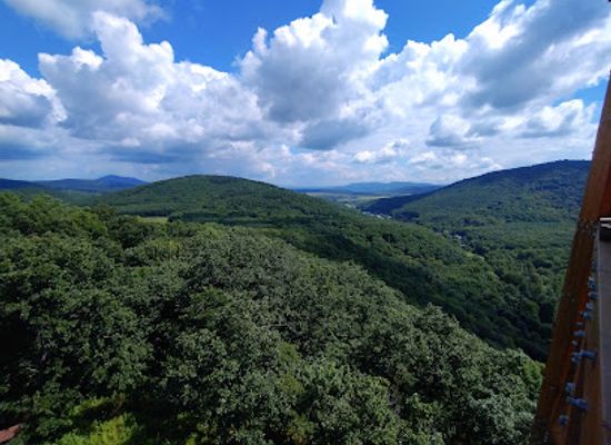 hungary/borzsony-mountains/attraction/kiralyret-forest-railway