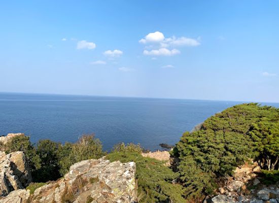 sweden/scania/attraction/hovs-hallar-nature-reserve