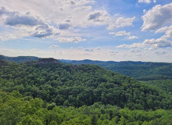 kentucky/knobs-region/attraction/daniel-boone-national-forest