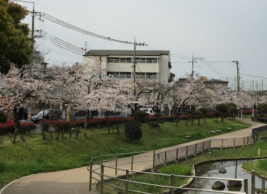 japan/izumi/attraction/ohama-park