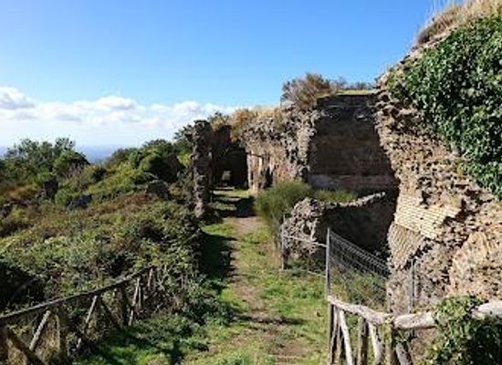 italy/rome/attraction/tusculum