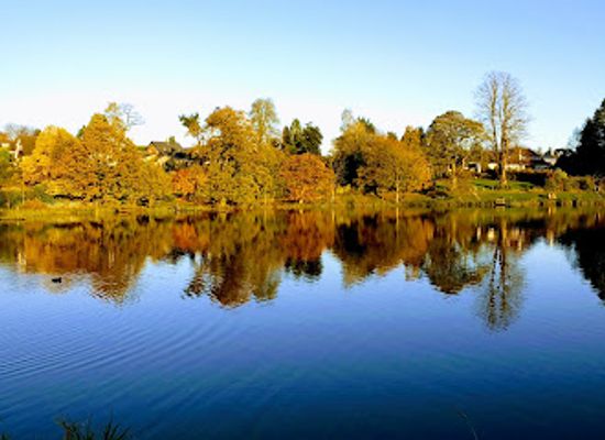 united-kingdom/tyrone/attraction/dungannon-park