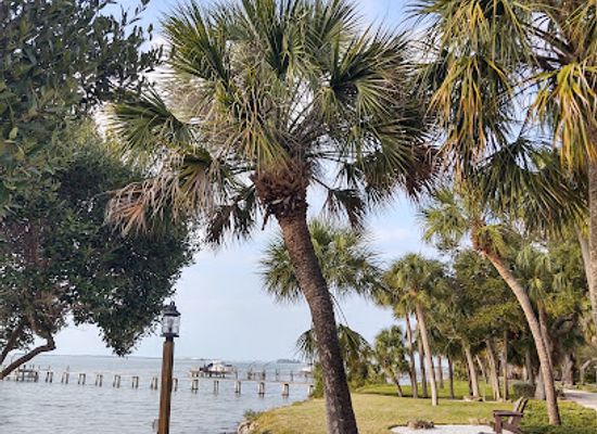 florida/tampa-bay-area/attraction/dunedin-downtown-market