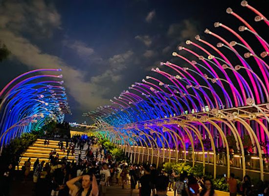 singapore/sentosa-island/attraction/glow-garden
