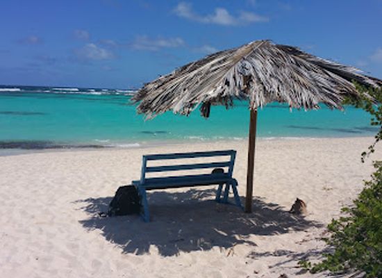 british-virgin-islands/anegada-beaches/attraction/loblolly-high-point