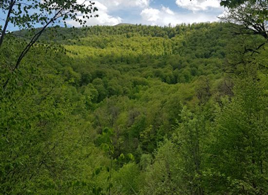 armenia/tavush/attraction/parz-lich