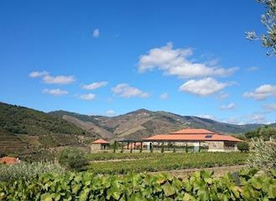 portugal/douro/attraction/quinta-da-roeda-croft-port