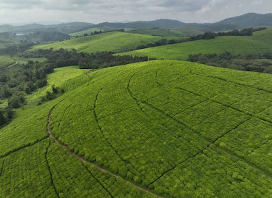 burundi/bururi/attraction/burundi-guides