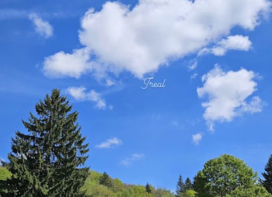 romania/rasnov-area/attraction/the-reservation-of-secular-oaks
