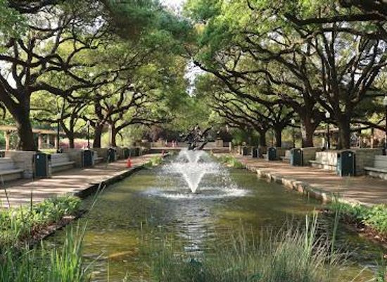 texas/sugar-land/attraction/houston-zoo