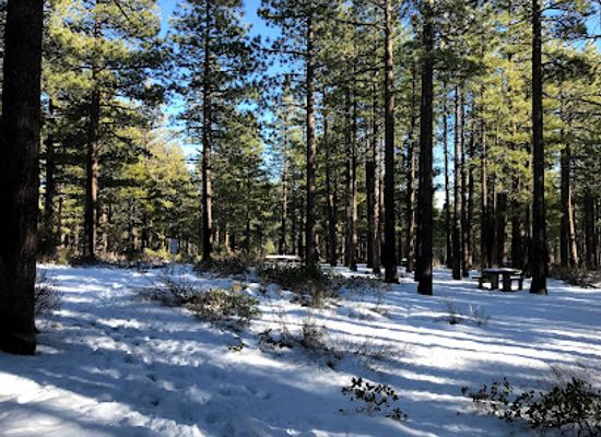 nevada/washoe-county/attraction/galena-creek-recreation-area