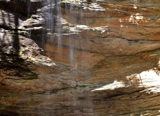north-carolina/pisgah-national-forest/attraction/moore-cove-falls-trail