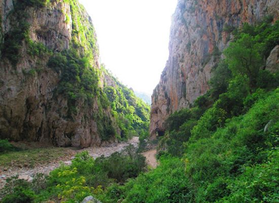 algeria/high-plateaus/attraction/taza-national-park