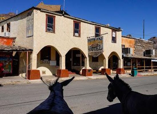 nevada/laughlin/attraction/oatman-az