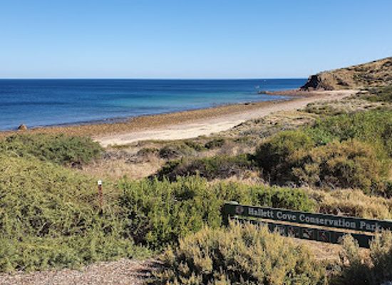australia/yorke-peninsula/attraction/hallett-cove-conservation-park
