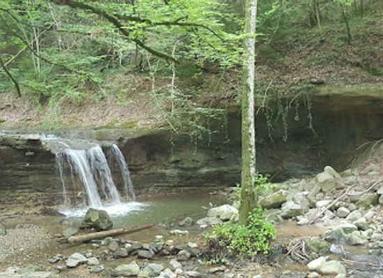 switzerland/vaud/attraction/cascade-de-crissier