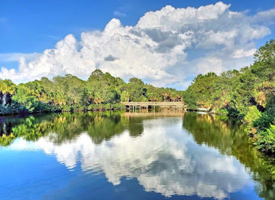 florida/honeymoon-island-state-park/attraction/wall-springs-park