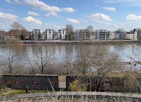 germany/anhalt/attraction/halbe-kartaune-die-huldigungskanone