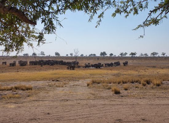 namibia/kavango-east/attraction/khaudum-national-park