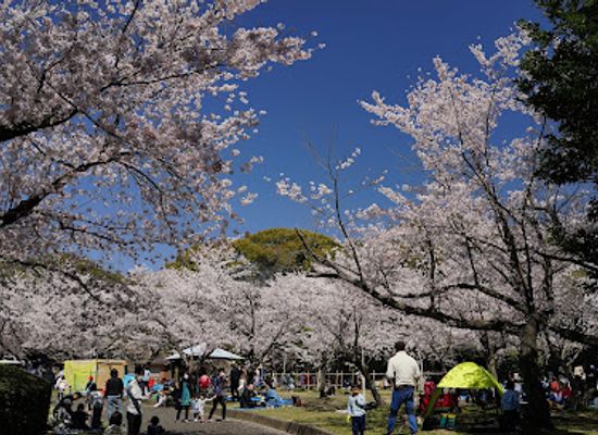 japan/hiroshima/attraction/hijiyama-park