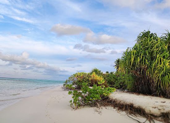 maldives/laamu-atoll/attraction/k-a-s-h-i-d-h-o-o