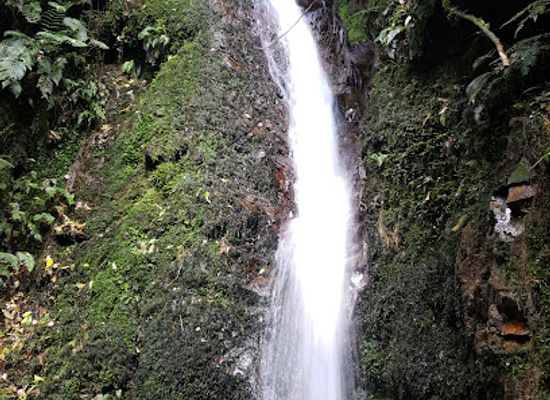 new-zealand/canterbury/attraction/acland-falls