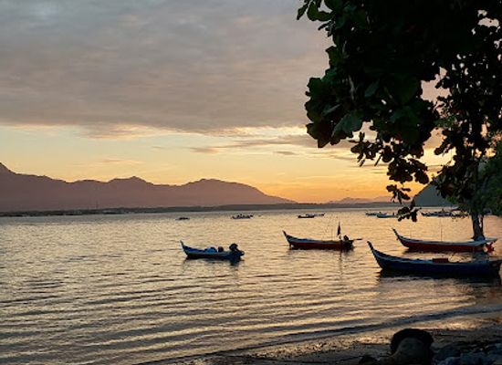 malaysia/kedah/attraction/pantai-teluk-nipah