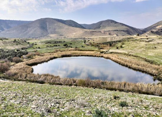 jordan/um-qais/attraction/al-arayes-lake