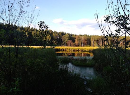 poland/lublin-upland/attraction/kacze-doly