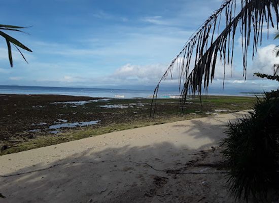 philippines/siquijor/attraction/maite-marine-sanctuary