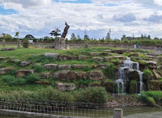 united-kingdom/yorkshire/attraction/yorkshire-wildlife-park