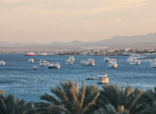 egypt/hurghada/attraction/balena-wreck-diving-site