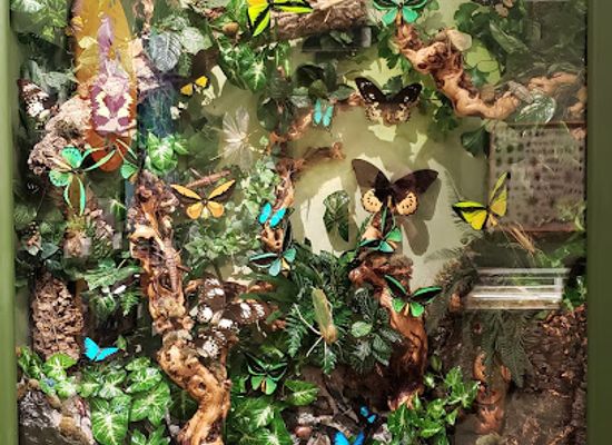 new-jersey/jersey-shore/attraction/insectropolis