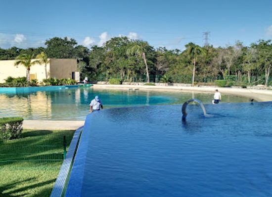mexico/riviera-maya/attraction/dolphinaris-riviera-maya