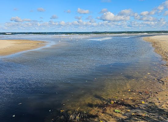 poland/pomerania/attraction/the-oliwski-stream