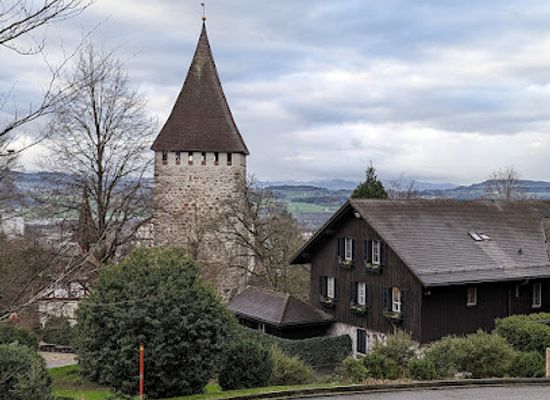 switzerland/thurgau/attraction/schloss-weinfelden