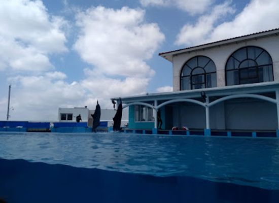 mexico/northern-mexico/attraction/acuario-de-veracruz