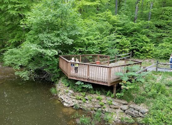west-virginia/bluefield/attraction/west-virginia-state-wildlife-center