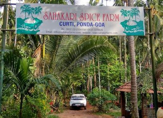 india/western-ghats/attraction/sahakari-spice-farm