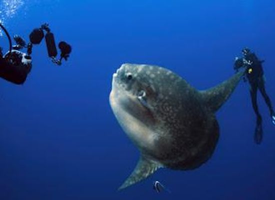 indonesia/ubud/attraction/dune-atlantis-bali