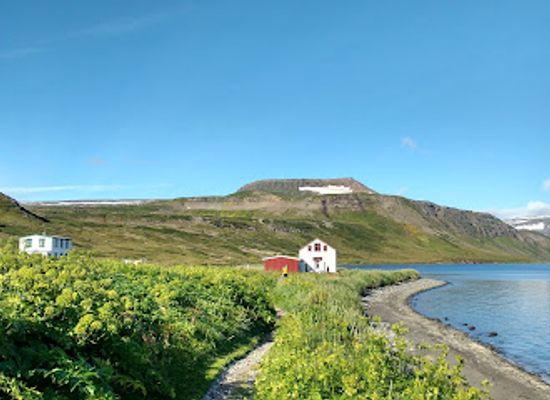 iceland/isafjordur/attraction/hornstrandir-nature-reserve