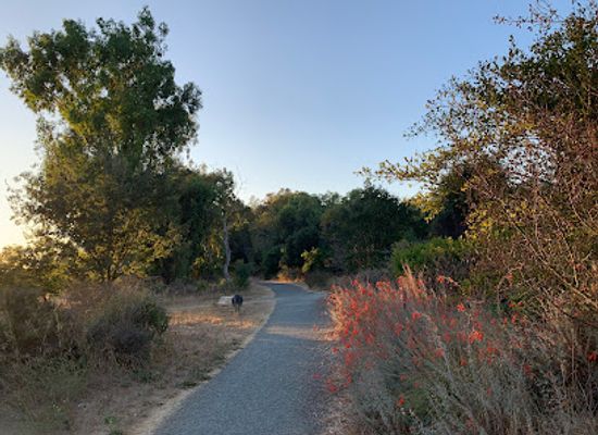 california/milpitas/attraction/ulistac-natural-area